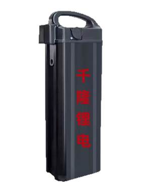 海霸新款代驾车48v20ah锂电池