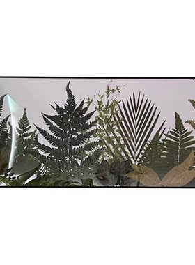 大型纯天然真植物画标本装饰画