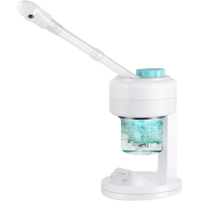 【泰东旗舰店】蒸脸器美容补水仪