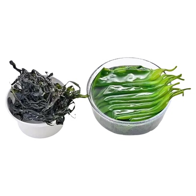 全干烘干海带苗嫩苗霞浦特产高泡发海带干货无沙无盐煲汤火锅凉拌
