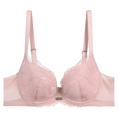 【列维斯蕾丝】安莉芳专柜新品夹碗围内衣女大胸显小文胸EB00839