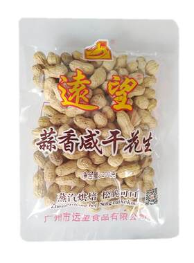 远望广州特产坚果小吃咸干花生