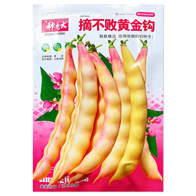 摘不败黄金钩豆角种子