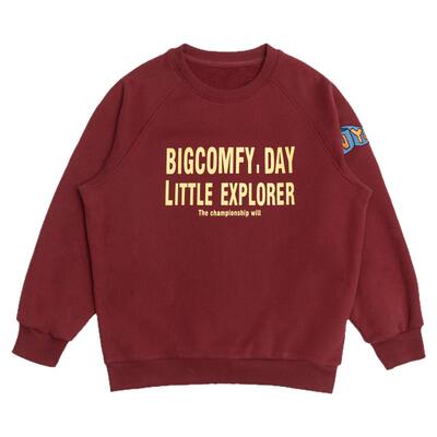 Damon新春儿童加绒卫衣圆领套头