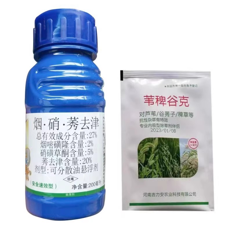 玉米芦苇除草剂玉米地野糜子