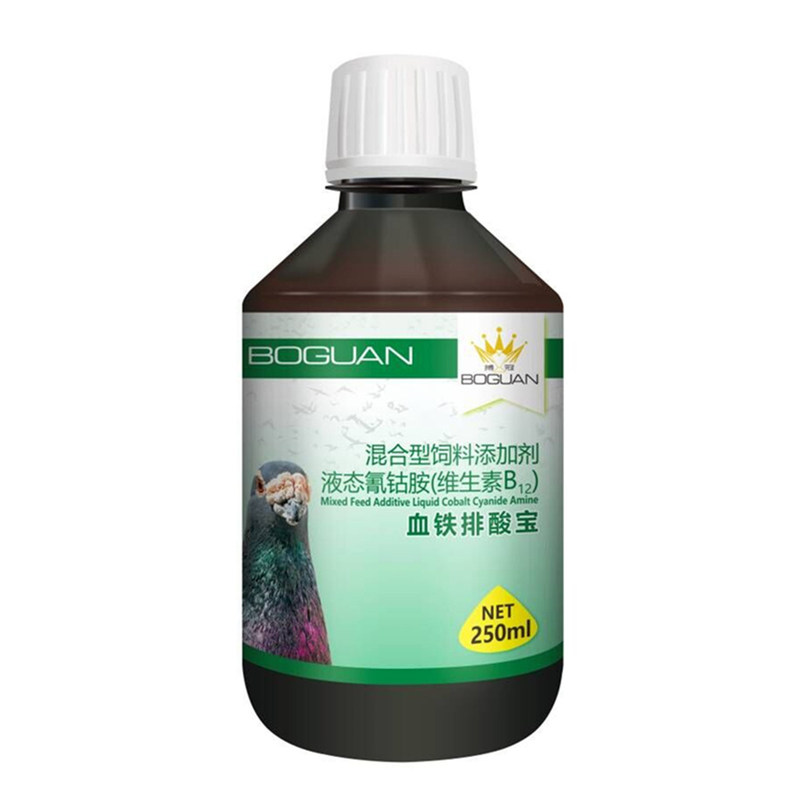 搏冠血铁排酸宝赛鸽缓解疲劳紫胸