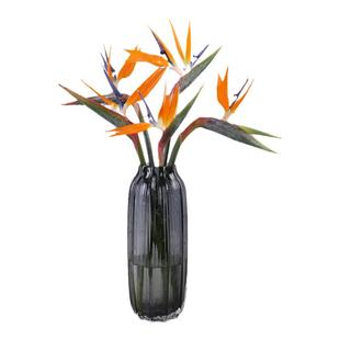 天堂鸟鲜花云南直发富贵鸟鹤望兰鲜切花水培花束花瓶插花速递