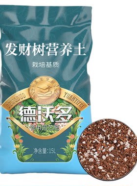 种养发财树专用土营养土花土盆栽
