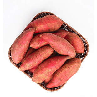 新鲜蜜薯10斤板栗红薯沙地糖心地瓜农家自种番薯现挖小香薯山芋5