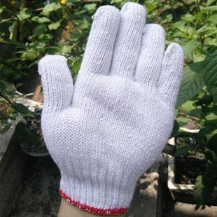 漂白手套劳保纯棉线纱手套尼龙耐磨工作加厚线手套干活用劳工机械