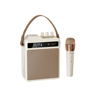 不见不散N5高音质家庭K歌音响麦克风一体大音量小型家用蓝牙音箱