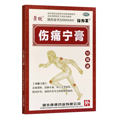 【景致】伤痛宁膏10贴/盒