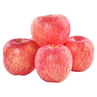 2025正宗陕西延安新洛川苹果一箱红富士洛川产地发货现摘包邮