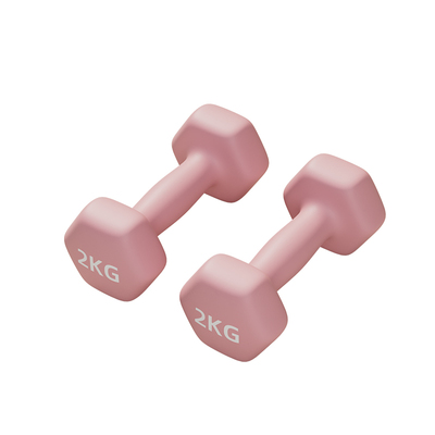 哑铃男士健身家用实心哑铃