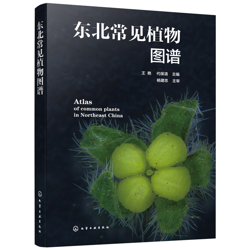 东北常见植物图谱 野外鉴别方法 植物的奥秘植物志 科种属种检索表速查一本通 青少年植物爱好者自然科普百科实用教程图鉴手册书籍