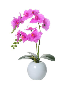 ins风仿真花手感蝴蝶兰