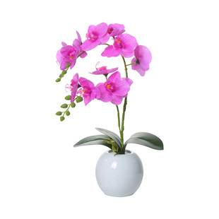 ins风仿真花手感蝴蝶兰客厅桌面摆件餐厅玄关摆设假花小盆栽装饰