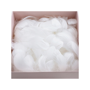 张小锤礼品盒礼盒填充物材料浪漫礼物整包羽毛装饰可替代拉菲草
