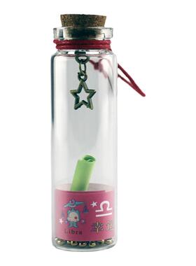 包邮12只复古星座许愿瓶玻璃瓶