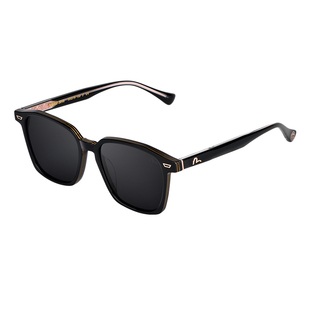 EVISU福神防紫外线偏光太阳镜百搭黑框2098