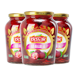 欢乐家 杨梅罐头900g*3大瓶 新鲜糖水杨梅水果罐头 餐饮原料批发