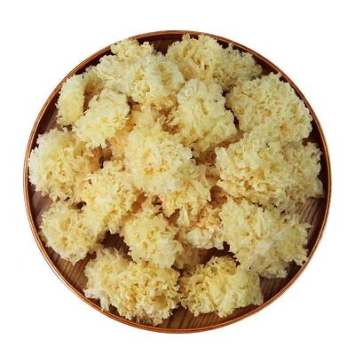 【净重】农家椴木小银耳干货福建特产银耳白木耳出胶软糯无熏硫