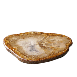 寓石林 木化石切片原石杯垫壶承桌面装饰托盘茶室小摆件天然石头