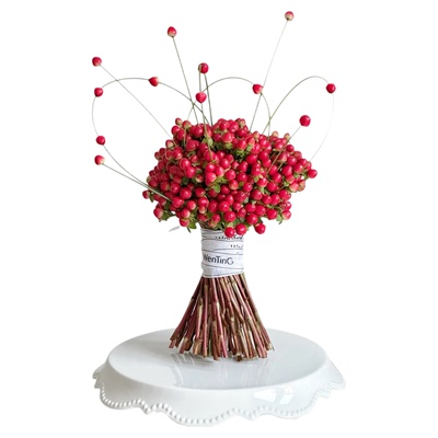 红豆相思豆鲜切手捧花结婚装饰好