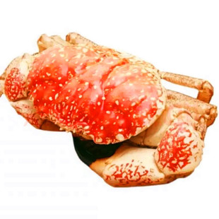 【全国多仓发货】鲜活皇帝蟹澳洲海鲜水产超特大10斤长脚帝皇蟹