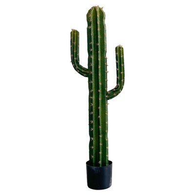 仿真仙人掌造景摆件窗楼梯下橱窗