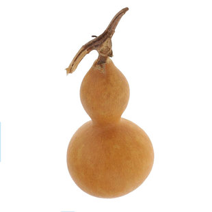 葫芦种子种籽孑子大籽种大全苗秧盆栽绿手捻秧苗食用菜文玩小