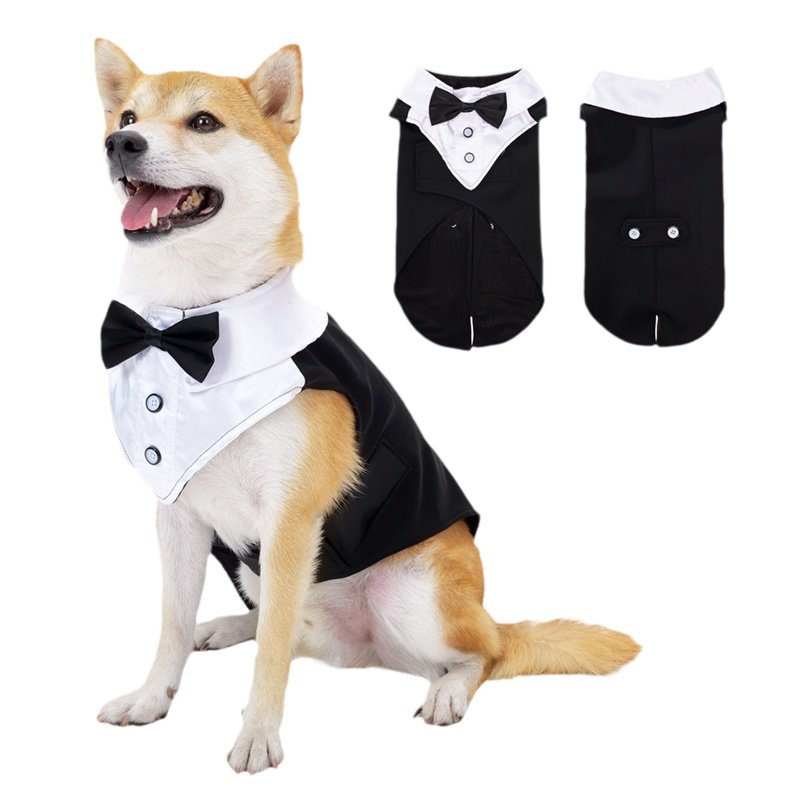 狗狗参加婚礼衣服蝴蝶结西服