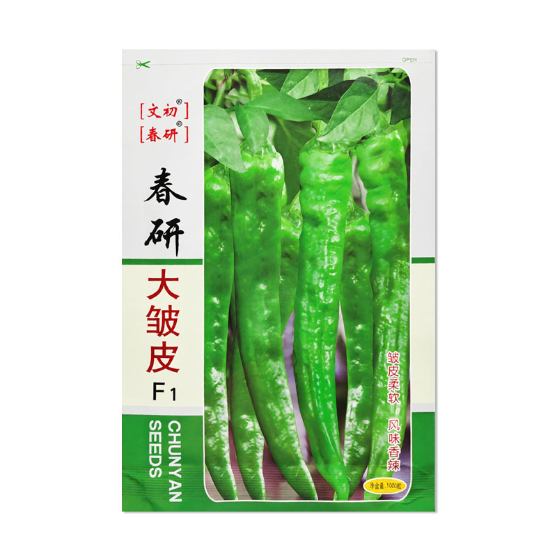 春研大皱皮辣椒种子长牛角椒
