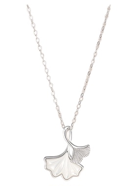 Name.s三生有幸纯银项链女生2025新款轻奢小众锁骨链送女生日礼物