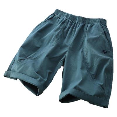 儿童休闲卡通刺绣弹力短裤