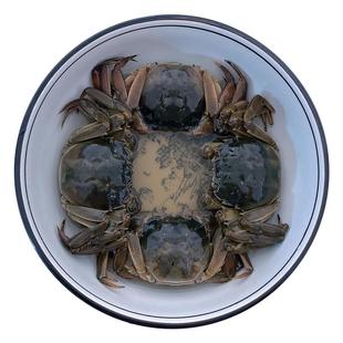 童德大醉蟹正宗百年老字号江苏兴化中堡庄特产醉蟹丨两罐公母八只