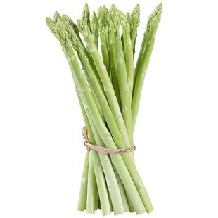 头茬芦笋新鲜特级产地直销现挖5斤嫩青笋尖绿鲜芦笋嫩龙须菜蔬菜