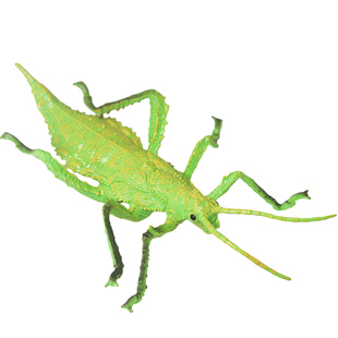 仿真巨扁竹节虫蟋蟀模型知了儿童玩具蜉蝣昆虫蝼蛄科教育甲虫标本