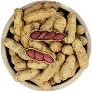 生花生米带壳红皮花生 四粒红衣花生种子高产籽新鲜货晒干种植5斤