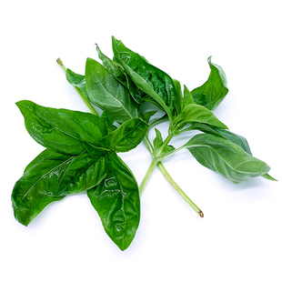 新鲜罗勒叶250g 欧罗甜罗勒 西餐食用香料青酱调料蔬菜 满5件包邮