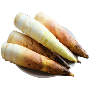 临安天目雷笋新鲜现挖高山笋尖鲜嫩油焖笋整箱农家菜竹笋春笋包邮