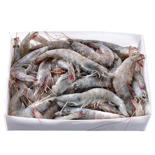 大虾鲜活速冻超大基围虾王牌盐冻海虾厄瓜多尔白虾对虾类冷冻海鲜