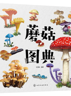 蘑菇图典孙雪松3-8岁儿童科普