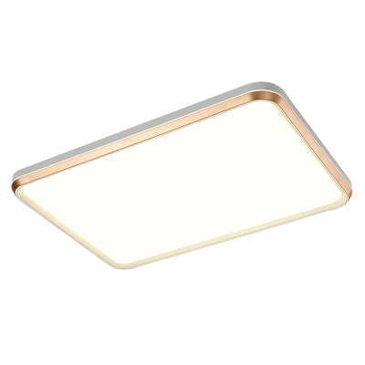 简约全光谱智能普瑞进口吸顶灯