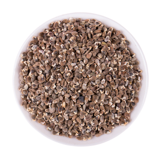 中药材远志种子远志籽包发芽率包回收种植简单高效益耐旱耐寒省事