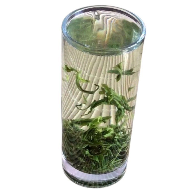 新茶高山云雾福建绿茶清明茶
