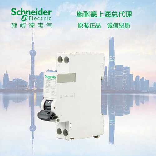 议价原装正品施耐德 iDPNa Vigi (18mm)20A DPN一位带漏电  A9D91