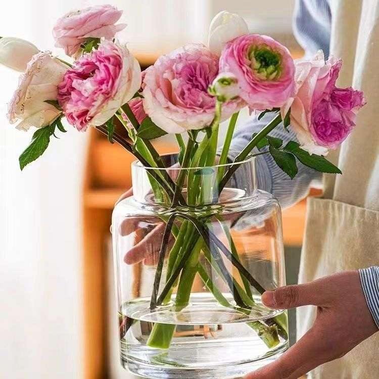 花瓶摆件客厅插花玻璃轻宽复古高级玫瑰矮餐桌口感奢培水大肚透明