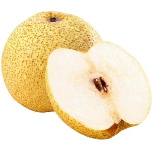 现货速发正宗安徽砀山酥梨老树汤山贡雪梨子当季新鲜水果整箱批发