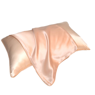 真丝枕套儿童单双面桑蚕丝枕套单个重磅真丝睡眠枕套夏凉小号